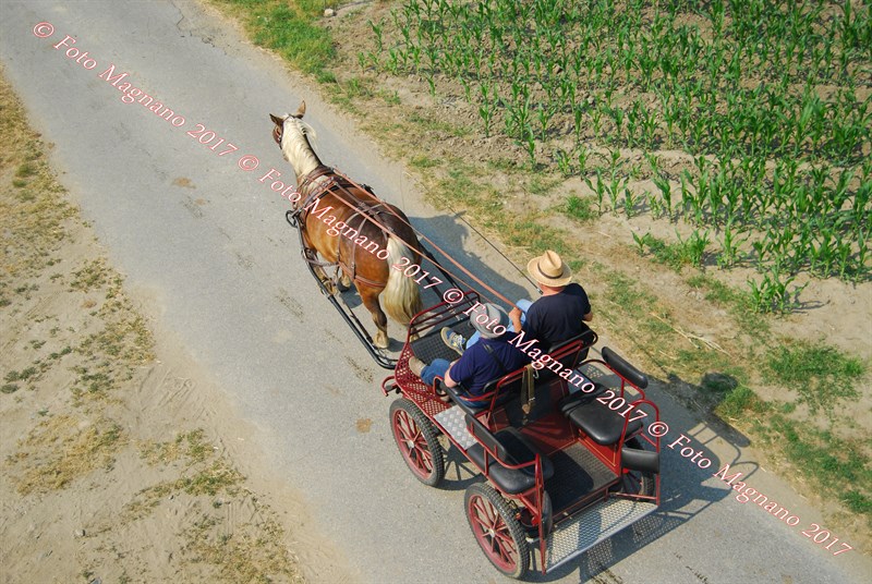 DSC_5003.JPG
